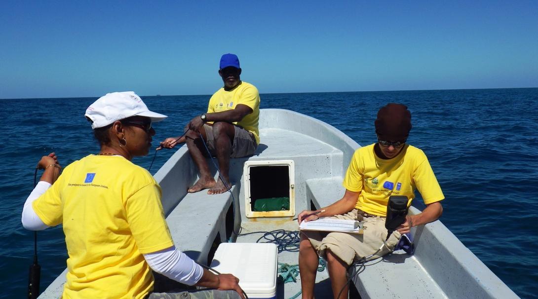 A volunteer with Projects Abroad taking a boat trip whilst also contributing to data collection whilst on a diving and marine conservation work experience project in Belize. A volunteer and local experts take a boat trip to gather some data whilst on a diving and marine conservation work experience project in Belize with Projects Abroad.